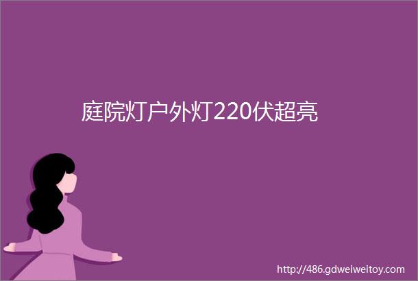 庭院灯户外灯220伏超亮